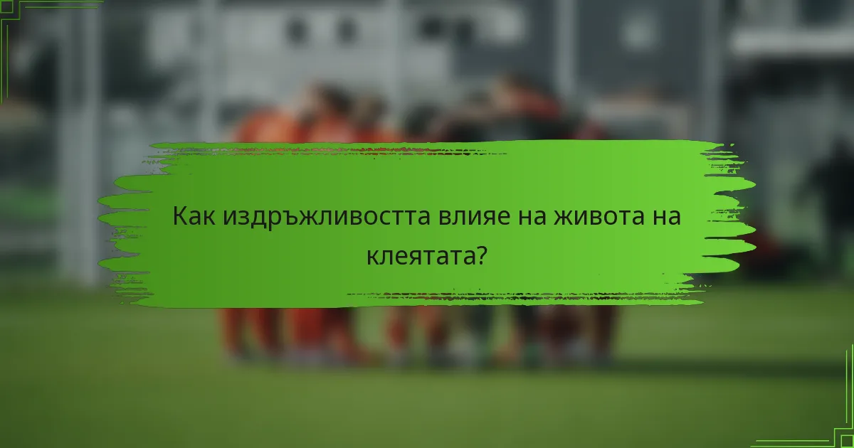 Как издръжливостта влияе на живота на клеятата?