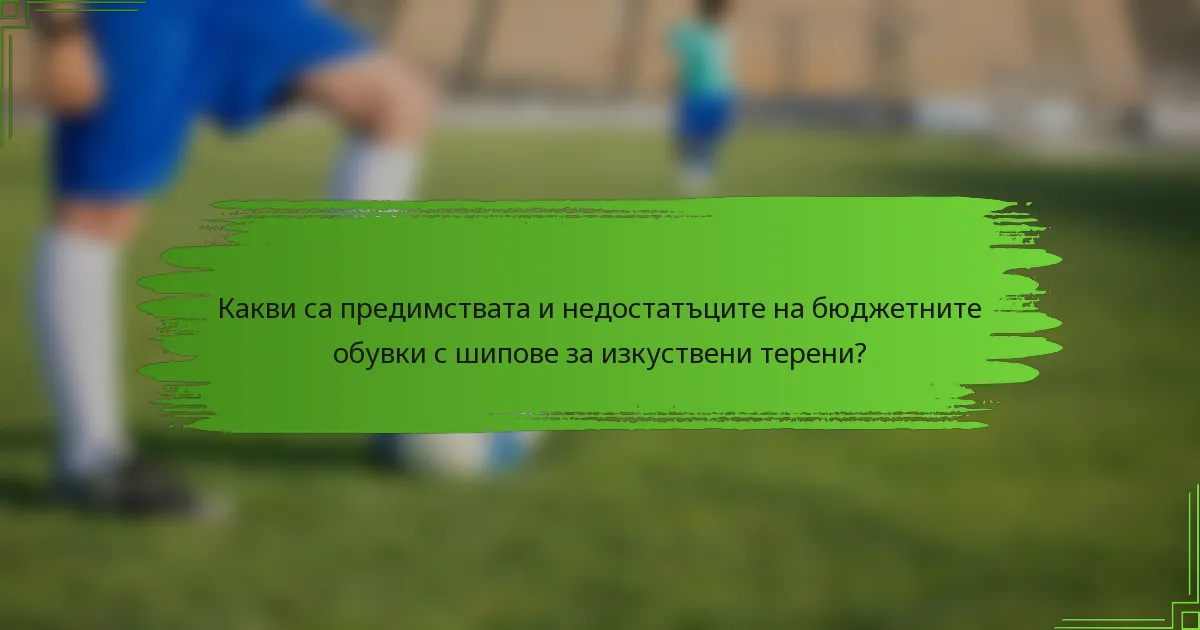 Какви са предимствата и недостатъците на бюджетните обувки с шипове за изкуствени терени?