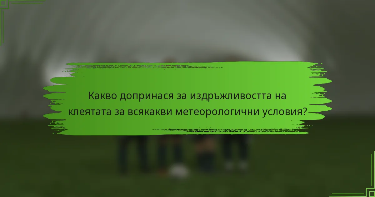 Какво допринася за издръжливостта на клеятата за всякакви метеорологични условия?