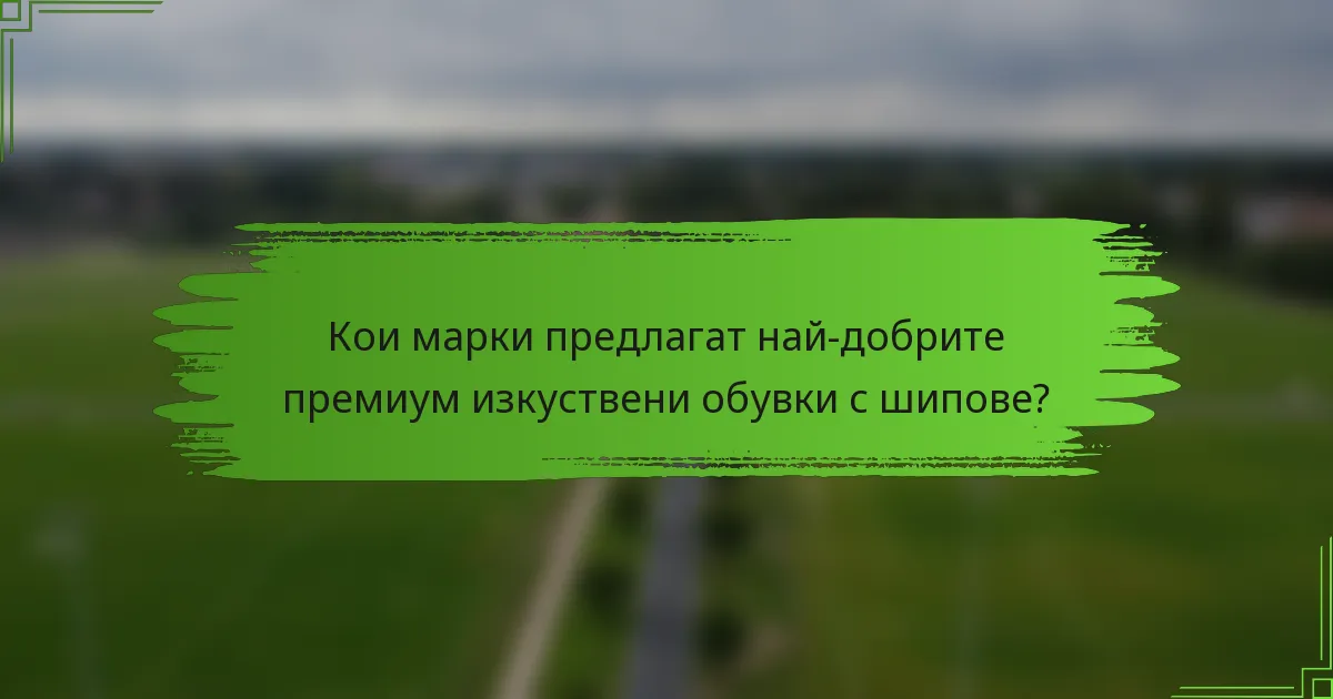 Кои марки предлагат най-добрите премиум изкуствени обувки с шипове?